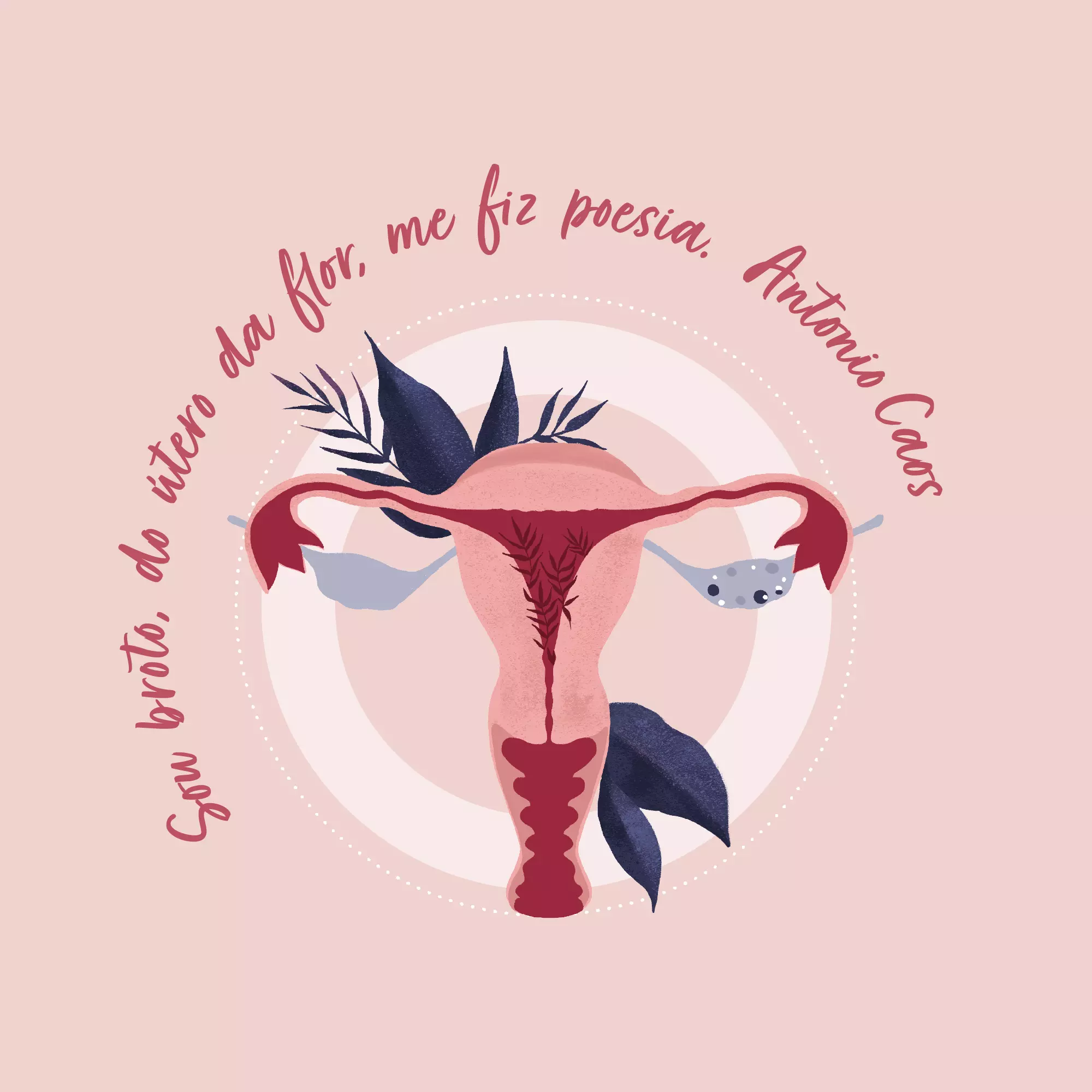 ilustração vulva