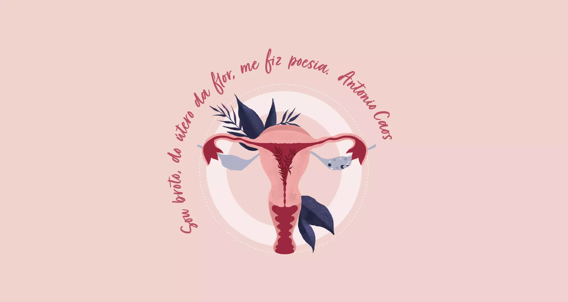 ilustração vulva